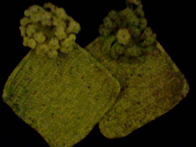 Magnolia pot holders