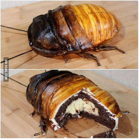 Roach Cake